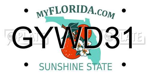 GYWD31 Florida License Plate