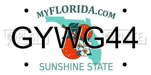 GYWG44 Florida License Plate
