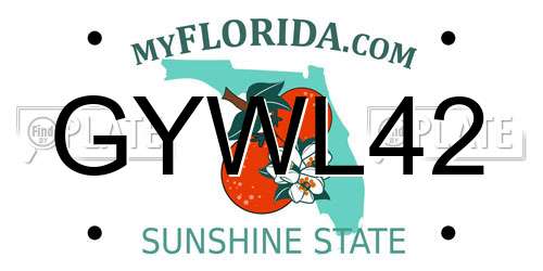 GYWL42 Florida License Plate