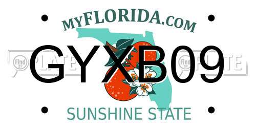 GYXB09 Florida License Plate