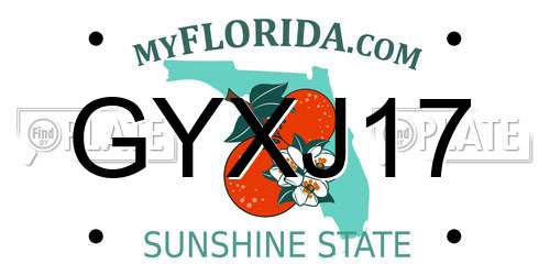 GYXJ17 Florida License Plate
