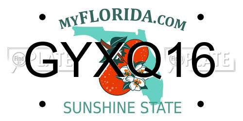 GYXQ16 Florida License Plate