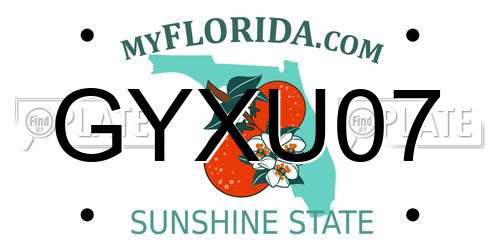 GYXU07 Florida License Plate