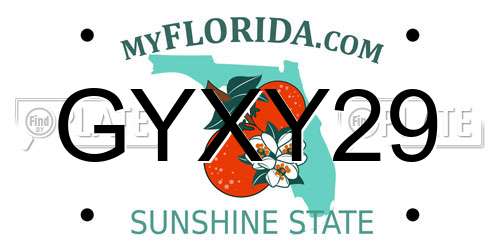 GYXY29 Florida License Plate