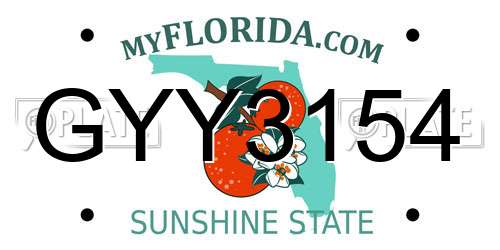 GYY3154 Florida License Plate