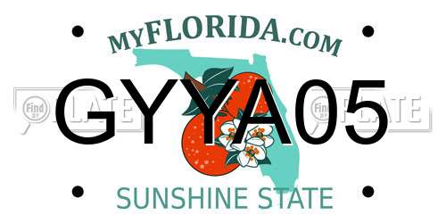 GYYA05 Florida License Plate
