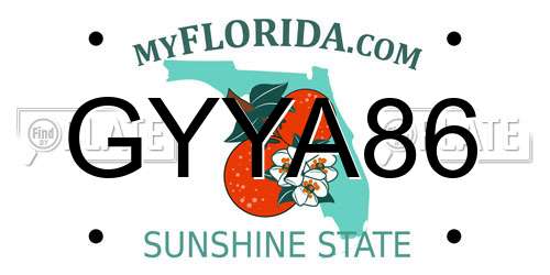 GYYA86 Florida License Plate
