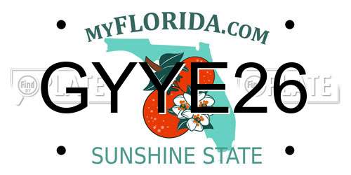GYYE26 Florida License Plate