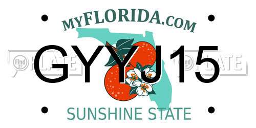 GYYJ15 Florida License Plate