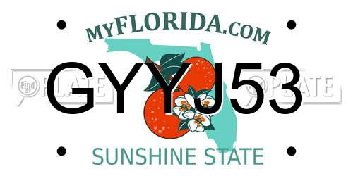 GYYJ53 Florida License Plate