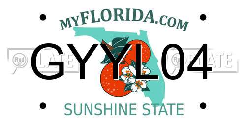 GYYL04 Florida License Plate