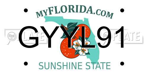 GYYL91 Florida License Plate