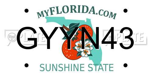 GYYN43 Florida License Plate