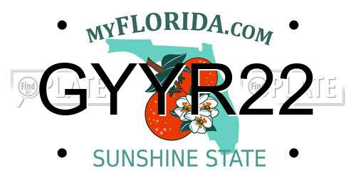 GYYR22 Florida License Plate
