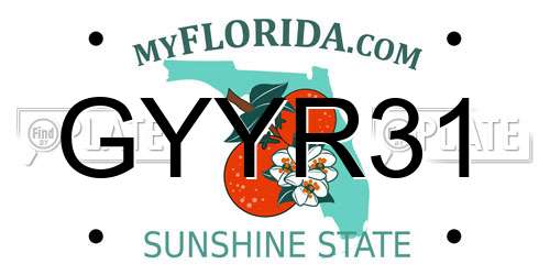 GYYR31 Florida License Plate