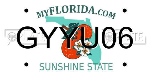 GYYU06 Florida License Plate