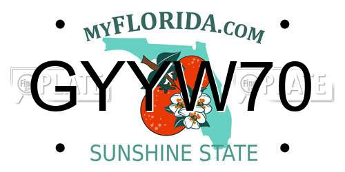 GYYW70 Florida License Plate