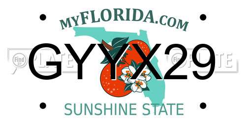 GYYX29 Florida License Plate