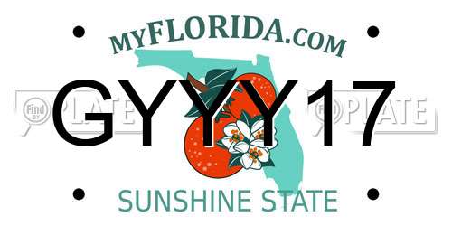 GYYY17 Florida License Plate