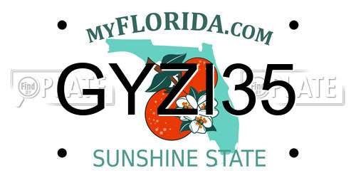 GYZI35 Florida License Plate