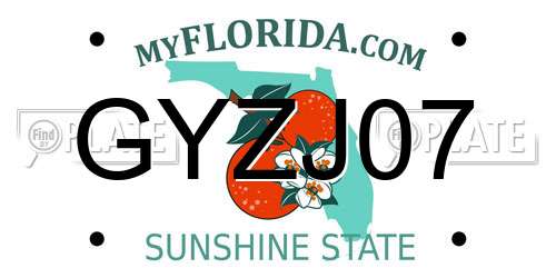GYZJ07 Florida License Plate