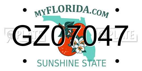 GZ07047 Florida License Plate