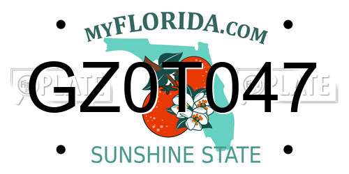 GZ0T047 Florida License Plate