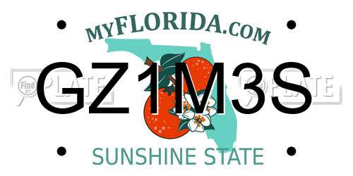 GZ1M3S Florida License Plate