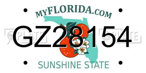 GZ28154 Florida License Plate