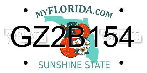 GZ2B154 Florida License Plate