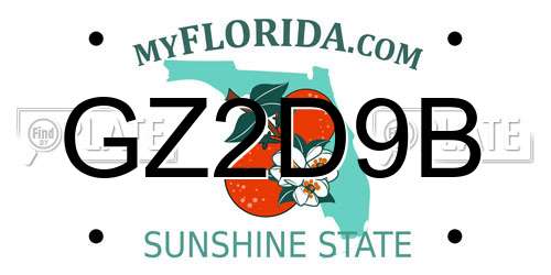 GZ2D9B Florida License Plate