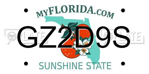 GZ2D9S Florida License Plate