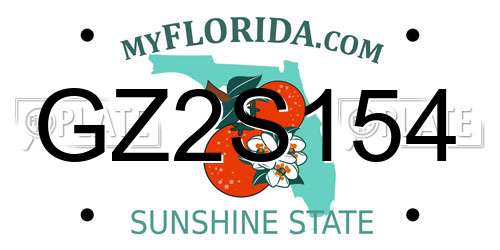 GZ2S154 Florida License Plate