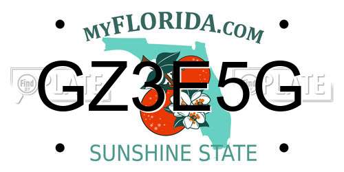 GZ3E5G Florida License Plate