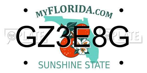 GZ3E8G Florida License Plate