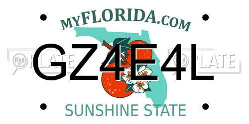 GZ4E4L Florida License Plate