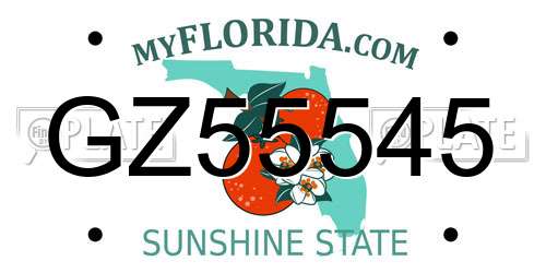 GZ55545 Florida License Plate