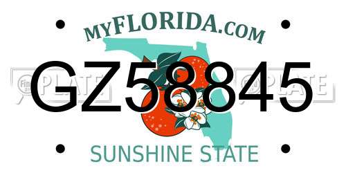 GZ58845 Florida License Plate