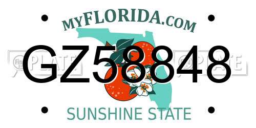 GZ58848 Florida License Plate