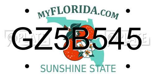 GZ5B545 Florida License Plate