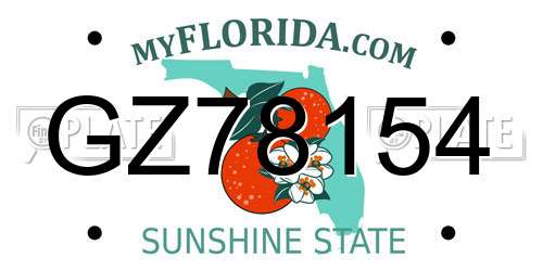 GZ78154 Florida License Plate