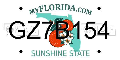 GZ7B154 Florida License Plate