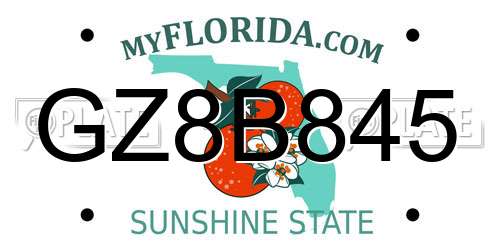 GZ8B845 Florida License Plate