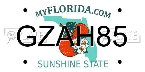 GZAH85 Florida License Plate