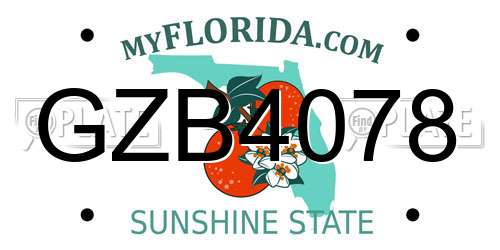 GZB4078 Florida License Plate
