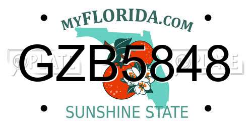 GZB5848 Florida License Plate