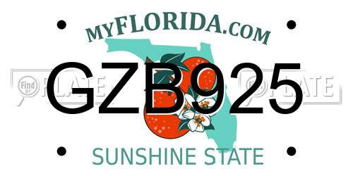 GZB925 Florida License Plate
