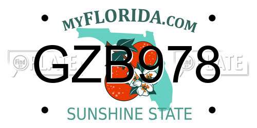 GZB978 Florida License Plate