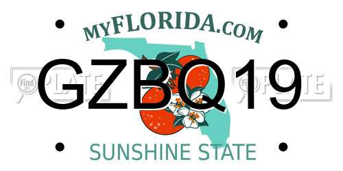 GZBQ19 Florida License Plate