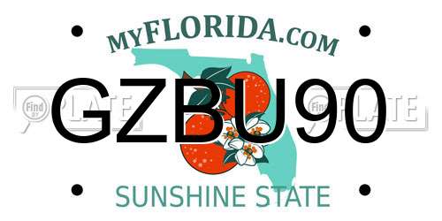 GZBU90 Florida License Plate
